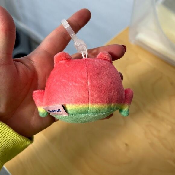 Rainylune Plush Friend The Frog Watermelon Keychain Fob Rainy Lune - Picture 2 of 3